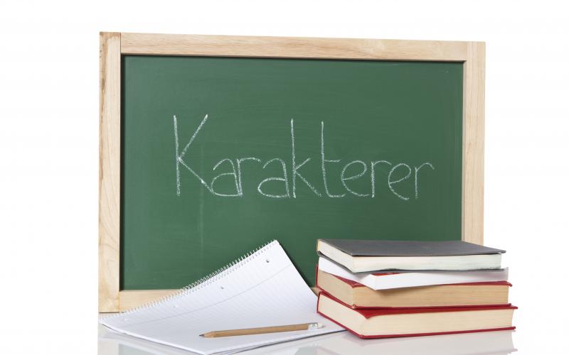 folkeskole karakter online